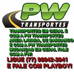PW TRANSPORTES