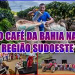 VAI UM CAFEZINHO? – Dia Mundial do Café: investimentos na produção geram impactos positivos na qualidade do café e na economia da Bahia.